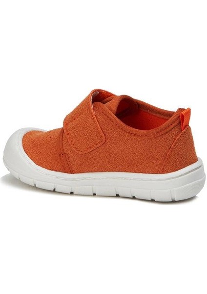 Anka Bebe Günlük Ayakkabı fiyatları