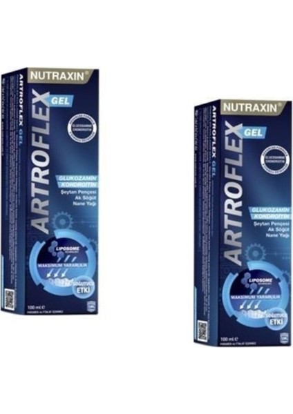 Artroflex Gel 100 ml x 2 Adet