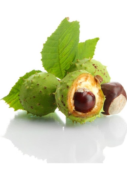 At Kestanesi Ekstraktı ( Horse Chestnut ) 2 Adet