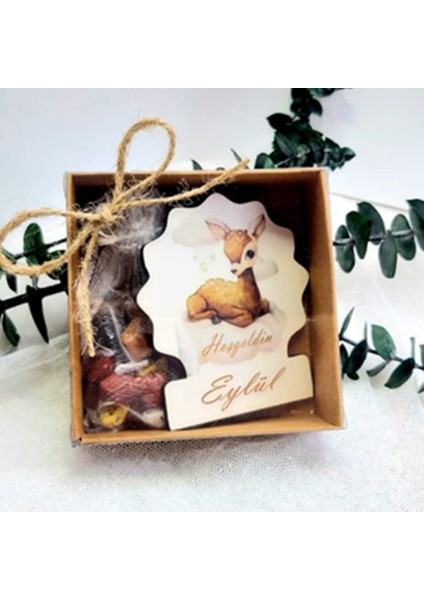 30 Adet Kutulu Ceylan Ahşap Magnet Bebek Liği