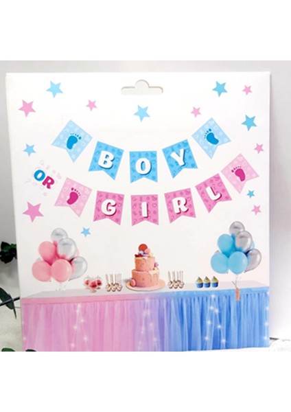 Cinsiyet Partisi Erkke Mi Kızmı Boy Girl Banner