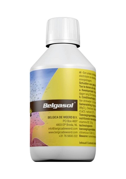 Belgasol Vitamin Ve Elektrolit - 500 Ml