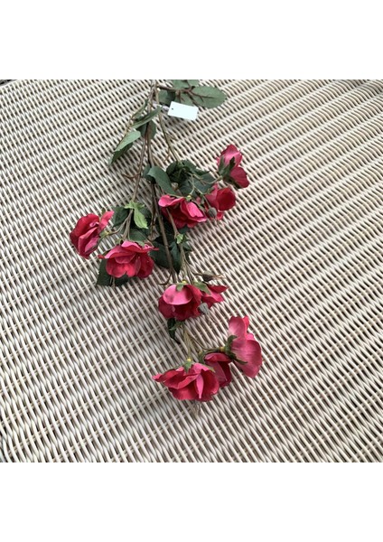 Lucky Art Rx 019 Ros Rose Gelincik Dalı fırsatları