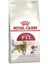 Fit 32 Yetişkin Kedi Mamasi 15 kg 1
