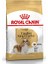 Cavalier King Charles Yetişkin Köpek Maması 3 kg 1