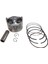 Xmax 250 Uyumlu Piston Vt 69,75 mm (Std+0,75) 17 Pim 1