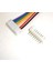 Sanec 2mm 12PIN Jst Ph Kablolu Konnektör Beyaz Takım 20CM 1