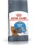 Light Weight Diyet Kedi Maması 1,5kg 1