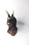 Triceratops Dinazor Hayvan Biblo Heykel Ev Ofis Dekorasyon 3D Görünümlü 2