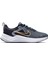 DM4194-005 Nike Downshifter 12 Unisex Spor Ayakkabı Cool Grey/metallıc Gold 1