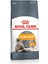 Hair & Skin Hassas Tüylü Kedi Maması 4kg 1