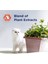 Fast Acting Hızlı Topaklanma Kedi Kumu - 10 Lt x 2 Adet 3