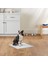 Kedi Köpek Çiş Pedi 30 Lu X2 Mavvell 2