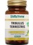 Tribulus Terrestris Çoban Çökerten 60 Kapsül 1