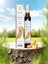 Immu-Nat Immunat Ginseng Ekstraktı 250 Ml 1