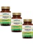 3 Adet Aksu Vital Ginkgo Biloba Ginko Biloba 60 Kapsül X 3 X 620 Mg 1