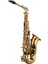 SAS-190 Debut Serisi Gold Finish Alto Saksafon 1