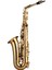 SAS-190 Debut Serisi Gold Finish Alto Saksafon 2