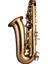 SAS-190 Debut Serisi Gold Finish Alto Saksafon 4