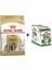 Shih Tzu Yetişkin Köpek Maması 1.5 kg + 12 Adet Yaş Mama 1