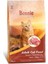 Dana Etli Yetişkin Kedi Maması 10 kg 3
