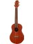 TAKAMINE EGU-C1 Elektro Concert Ukulele 1