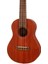 TAKAMINE EGU-C1 Elektro Concert Ukulele 3