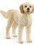 Schleich Goldendoodle 13939 1