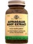 Astragalus 60 Kapsül 1