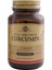 Curcumin 30 Kapsül 1