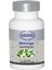 Moringa Ersağ 1