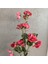 Lucky Art Rx 019 Ros Rose Gelincik Dalı 2