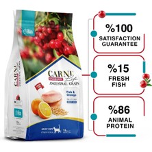 Carni Life Cranberry Ancestral Graın Salmon & Orange Sterılısed 5 kg