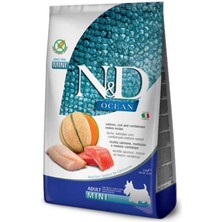 N&D  Ocean Somon Balıklı ve Morina Balıklı Küçük Irk Tahılsız Köpek Maması 2,5 kg