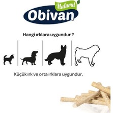 Obivan Munchy Çubuk 12 cm 9 gr 100 Adet