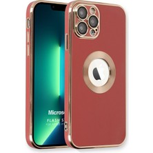 Microsonic Apple iPhone 13 Pro Kılıf Flash Stamp Kırmızı