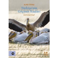 Türkiyenin Göçmen Kuşları - Fotokitap