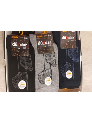 Dündar Kadın Modal Plus Dikişsiz Desenli Soket Çorap 5725 - 6 Adet