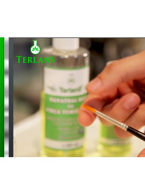 Terlans Yağlı Boya Seti Yardımcı Malzemeler 3 x 250 ml
