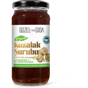 Güzel Ada Gıda Organik Kozalak Şurubu 230 ml
