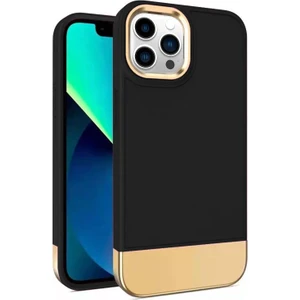 Apple iPhone 12 Pro Max Kılıf Zebana Gold Stil Silikon Kılıf Siyah