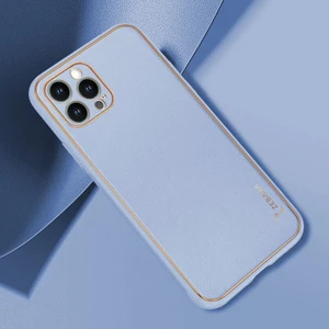 Apple iPhone 12 Pro Kılıf Zebana Gold Design Deri Kılıf Açık Mavi