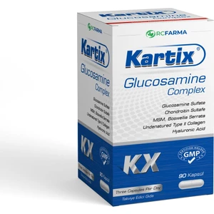 Glucosamine Complex 90 Kapsül