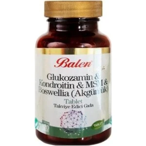 Glukozamin Kondroitin Msm Boswellia Akgünlük Glukosamin Bosvelya 120 Tablet X 1200 Mg