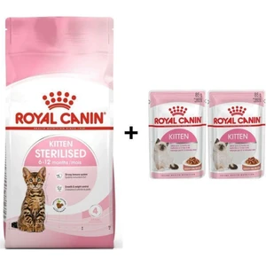 Royal Canin Kitten Sterilised Kısırlaştırılmış Yavru Kedi Maması 2 kg + 2 Adet Yaş Mama Hediye