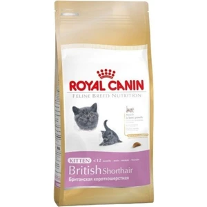 Royal Canin Feline Kitten British Shorthair Yavru Kedi Maması 2 kg