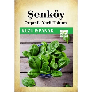 Yerli Kuzu Ispanak Tohumu Doğal Ata Geniş Yaprak Ispanak Tohum 1 Pakette 25 gr 2500 Tohum