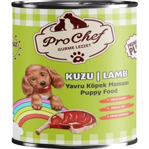 16 Adet Premium Plus Yavru Köpek Maması | 415 gr Kuzu Etli Konserve Yaş Mama