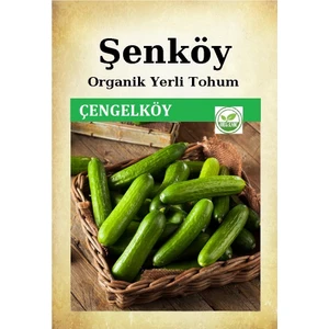 Yerli Çengelköy Salatalık Tohumu Doğal Ata Tohum 1 Pakette 100 Tohum ve Sebze Tohumu