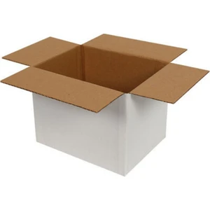 Koli Kolay 20x15x15 cm Tek Oluklu Koli Beyaz 10 Adet